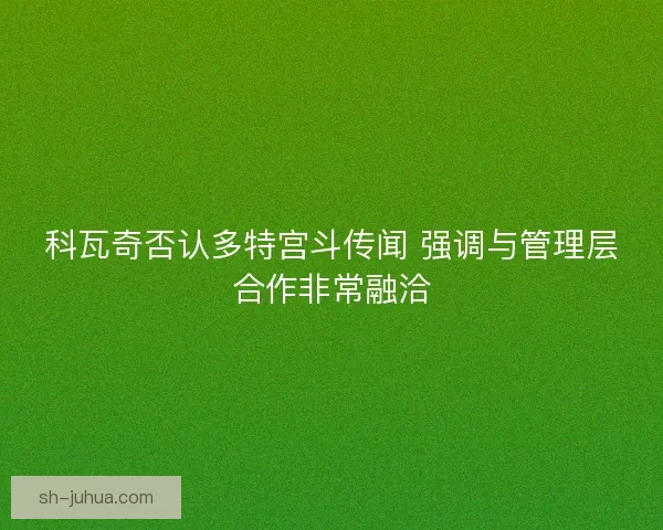 科瓦奇否认多特宫斗传闻 强调与管理层合作非常融洽